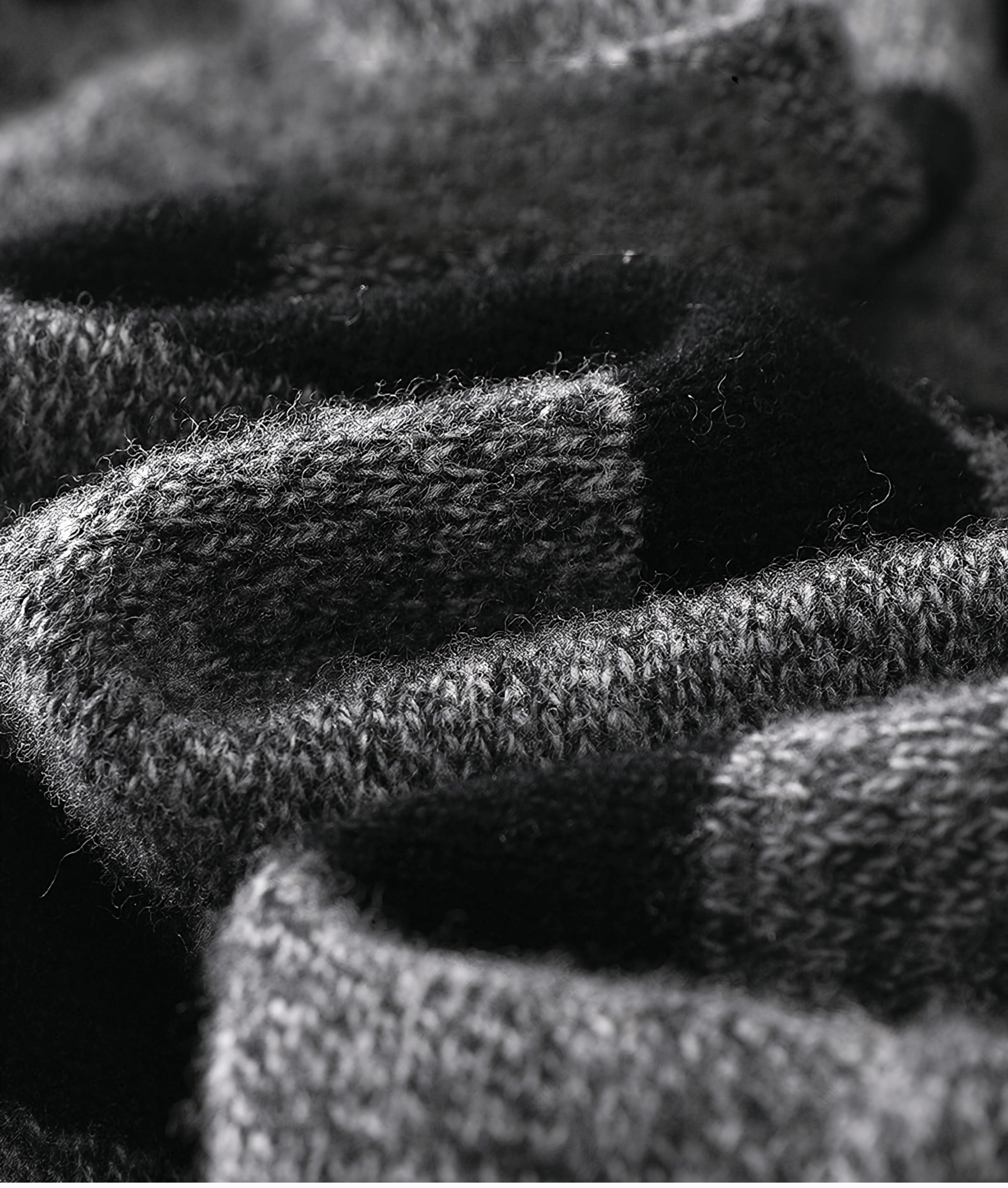 AXEL RANDIG CREWNECK